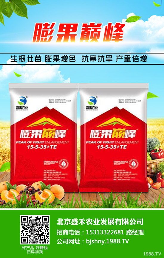 油菜什么季節(jié)種植,油菜從種植到豐收需要多久?