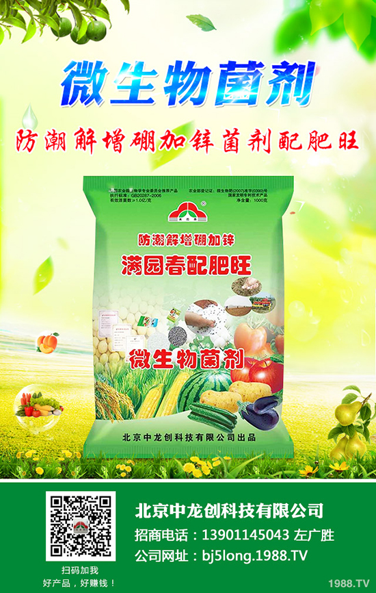 柑橘什么時候種植更好？柑橘的栽培要點有哪些？