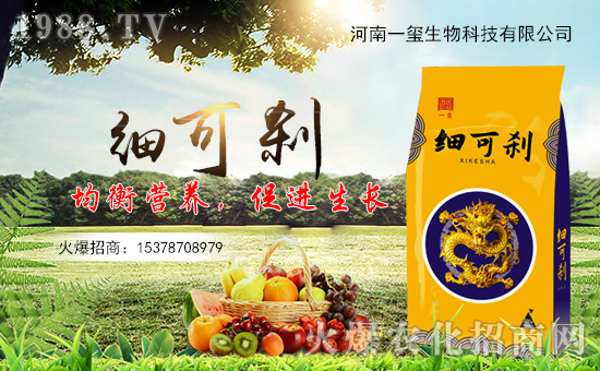 һtףȫт경ӭ{f