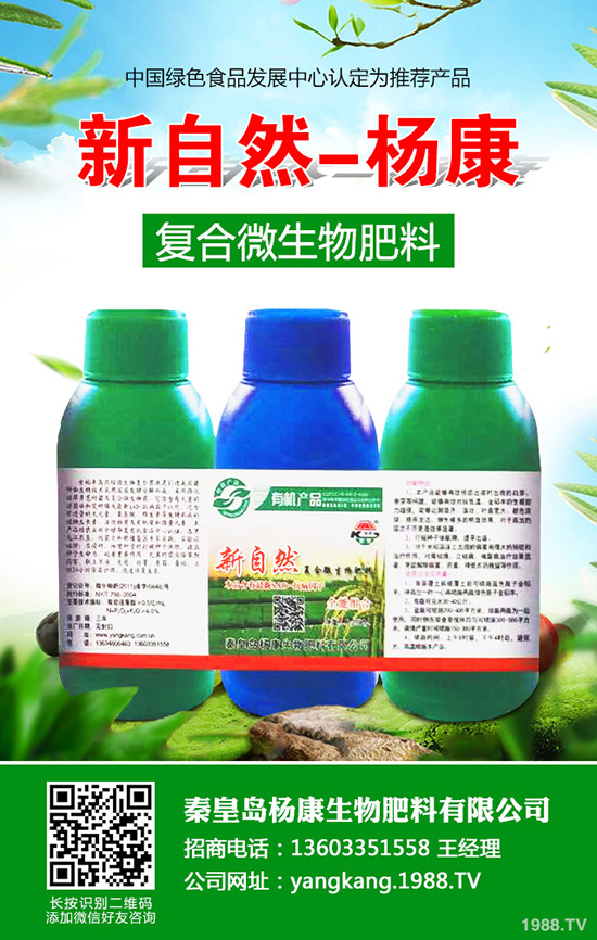 拐棗如何種植，拐棗種植技術(shù)及種植前景！