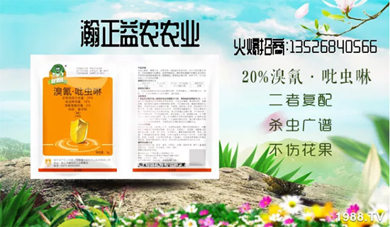 【瀚正益農(nóng)】祝廣大經(jīng)銷(xiāo)商2020年事業(yè)騰飛!鼠年大吉!新年好!