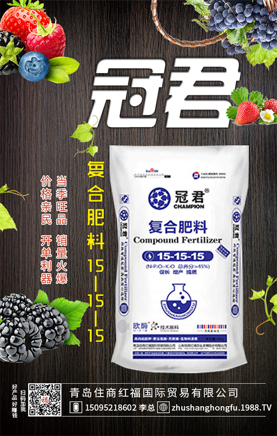 紫甘藍怎么管理？冬春茬紫甘藍種植管理要點！