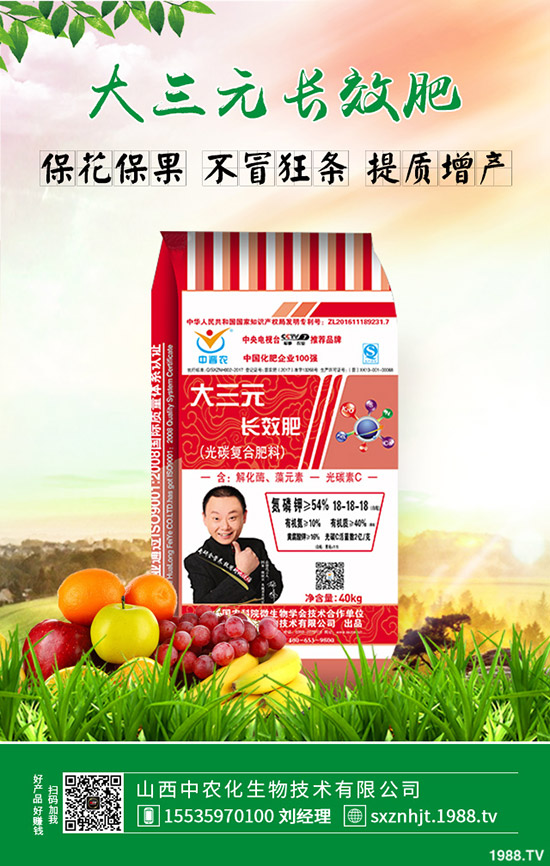     大棚早春茬西瓜如何育苗？大棚早春茬西瓜種植管理方法有哪些？