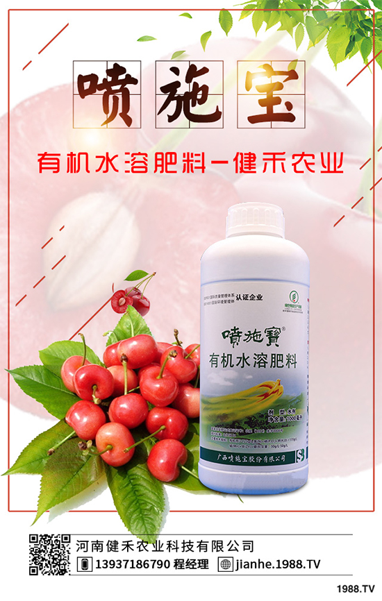 庭院種植竹子好在哪里？種植竹子的技巧與禁忌