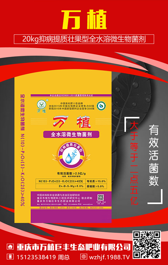 枇杷樹什么時候施肥好,作用是什么?
