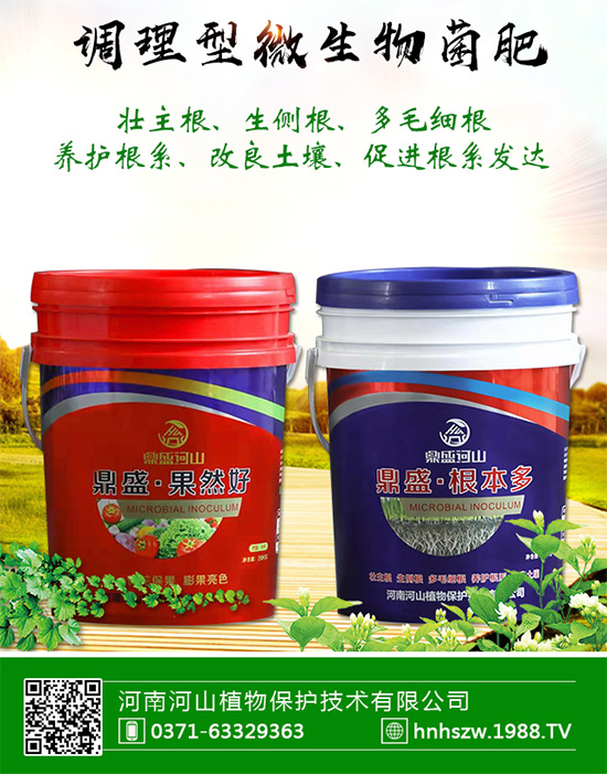 【河山植物】祝愿廣大經(jīng)銷(xiāo)商朋友們?cè)谛碌囊荒晟眢w健康,闔家歡樂(lè)!