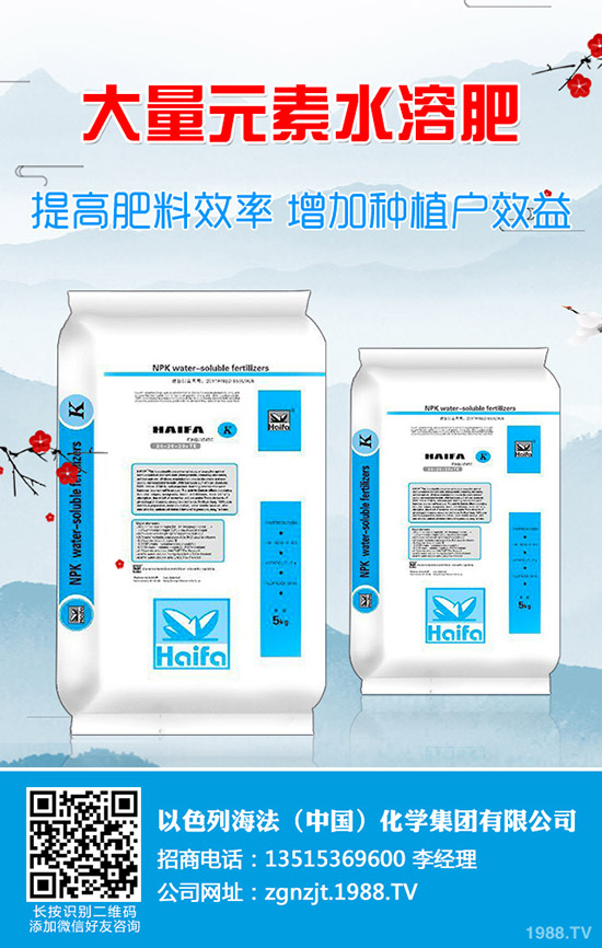     2020����(ji��)���g��⛷���������(sh��)��1��31�ս���⛷ʃr(ji��)�����(b��o)��