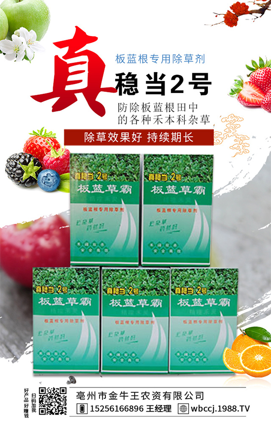 【金牛王】祝廣大經(jīng)銷商朋友們,新的一年生意紅火、財(cái)源廣進(jìn)!