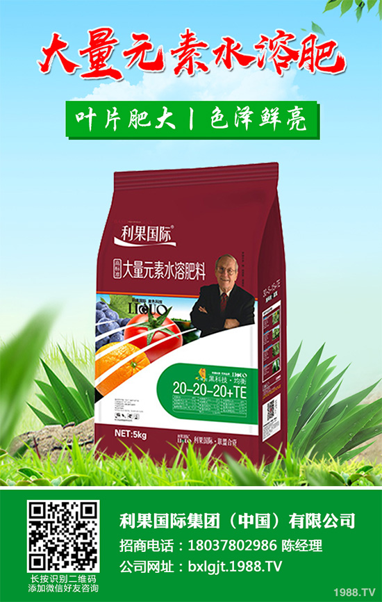     �۲˰߿ݲ�����ЩΣ���Y�����۲˰߿ݲ���Σ��������