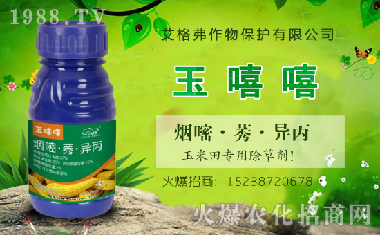 ���������ף���������´��옷�������d¡���f���������H�Ұ�����