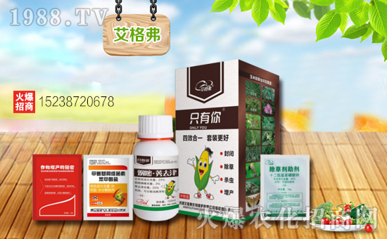 ���������ף���������´��옷�������d¡���f���������H�Ұ�����