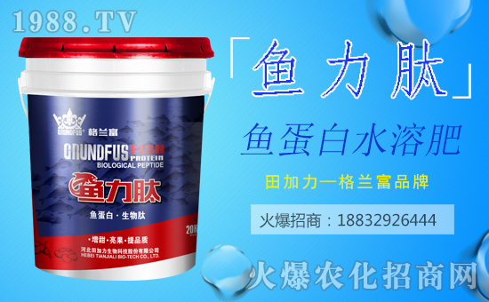 【田加力】祝大家在新的一年里身體健康,闔家歡樂!