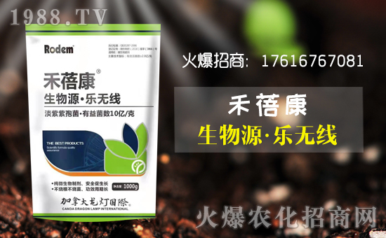 【壽光龍燈】祝全國朋友新年快樂!鼠年大吉!身體健康!財源廣進(jìn)!