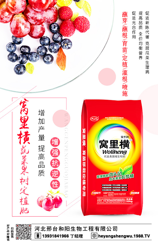 龍眼的施肥要點(diǎn)大家了解嗎？一起來(lái)看看吧！