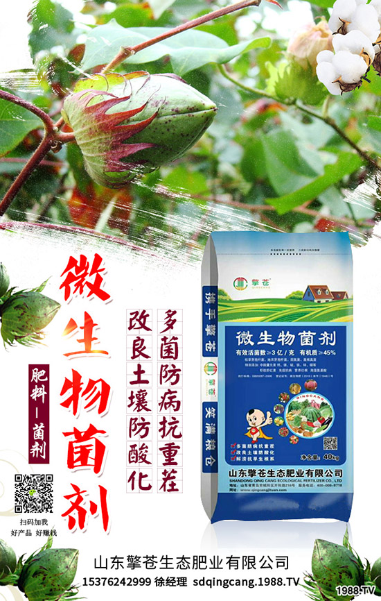 春節(jié)來臨!2020年1月尿素能否挺價?尿素行情走勢預(yù)測!