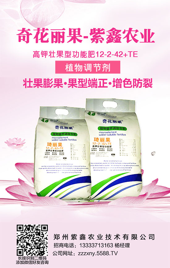 學(xué)會(huì)龍眼的施肥管理,龍眼增產(chǎn)不再憂!