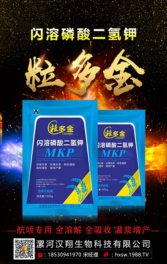 柚子如何種植拔高產(chǎn)量呢？柚子的科學(xué)種植方法！