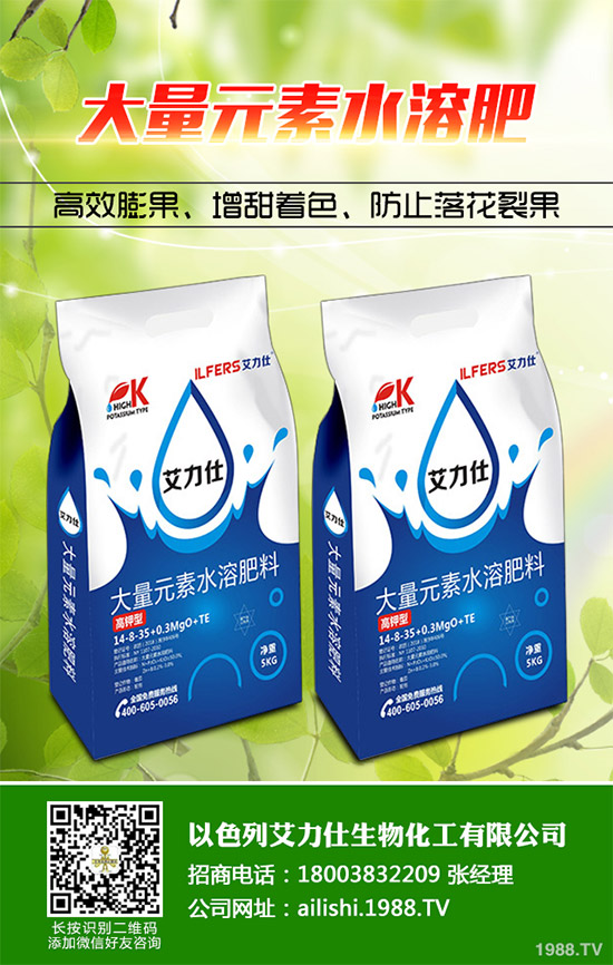 芹菜根腐病是如何發(fā)生的?該怎樣防治?快來(lái)看看吧!