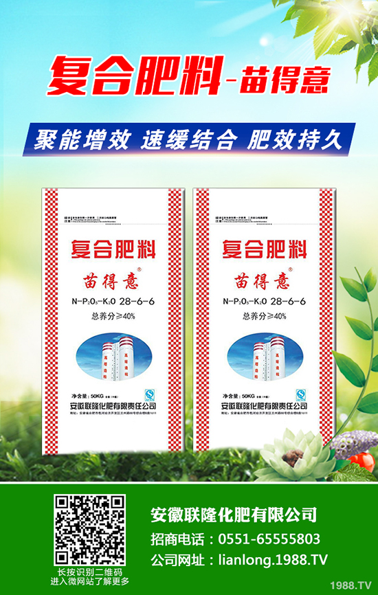 種植黑老虎賺錢嗎？種植前景及市場行情如何？一畝田投入成本多少？