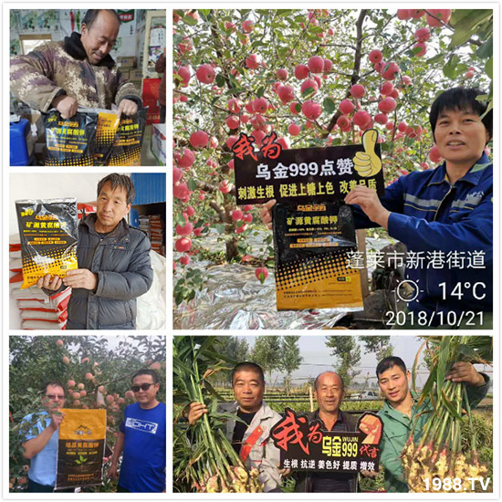 【新疆黑色生態(tài)】全體員工恭祝新老朋友:新年快樂(lè)!萬(wàn)事如意!夜夜“鼠”錢(qián)!