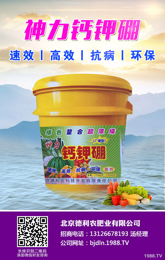 2020年春節(jié)前鉀肥價(jià)格上漲有限！2020-1-17日鉀肥行情走勢分析！