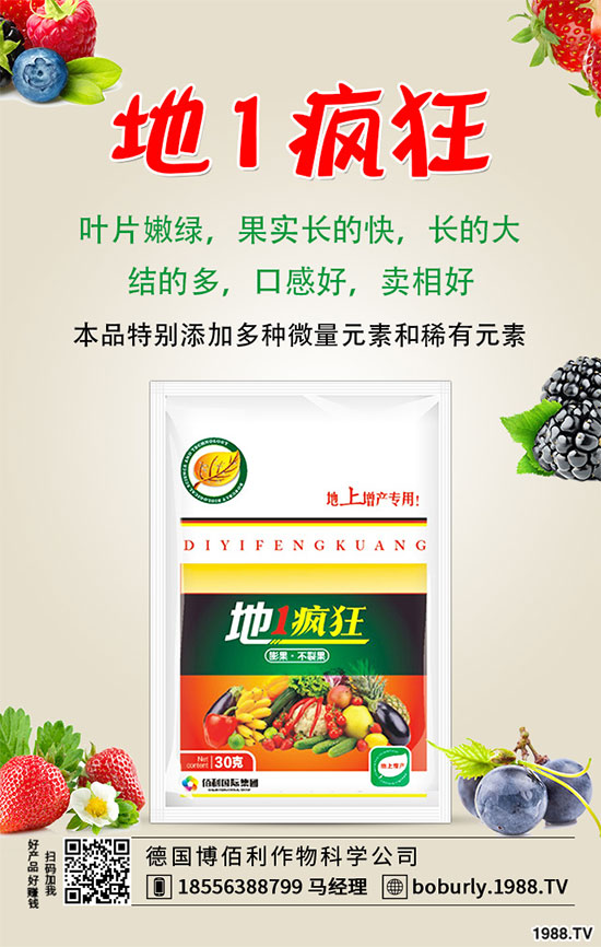 花椒落花落果是什么原因？花椒?；ū９胧?！