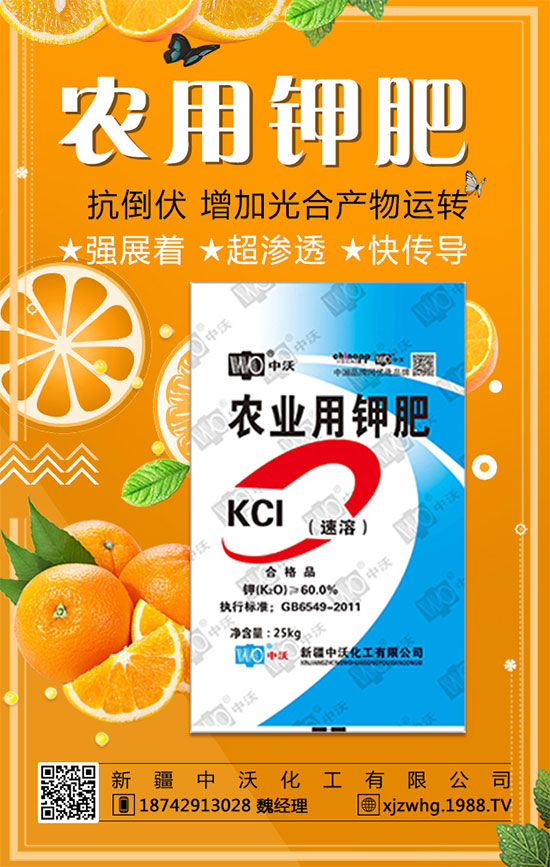 【新疆中沃化工】恭祝新老朋友新年快樂(lè),鼠年吉祥!2020滾滾財(cái)源!