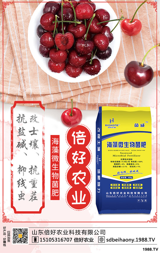2020尿素價(jià)格要上漲!最新尿素行情走勢(shì)分析!