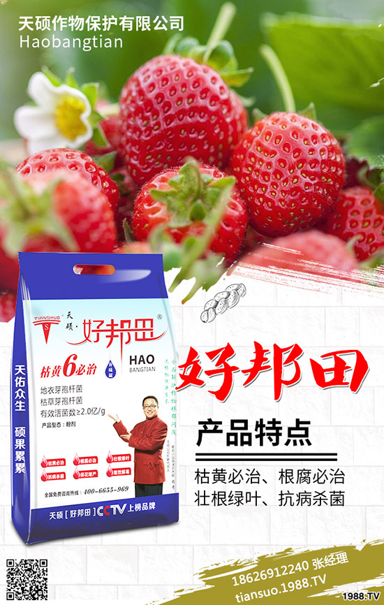 2020年農(nóng)村種植什么水果賺錢?哪些種果樹品種比較好?