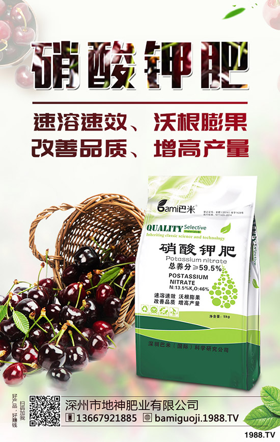 好吃的釋迦果要如何種植？釋迦果種植時間及方法！