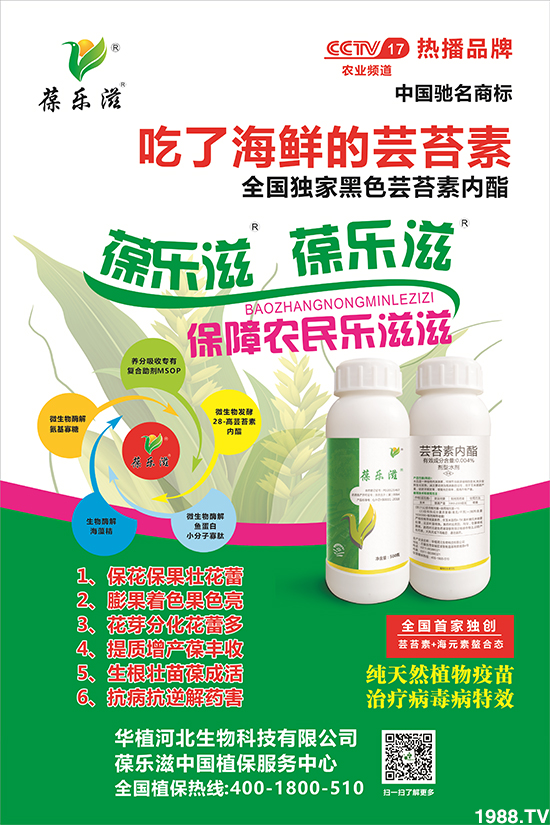 【華植河北】祝大家新年新氣象,生意步步高!鼠年行大運(yùn)!