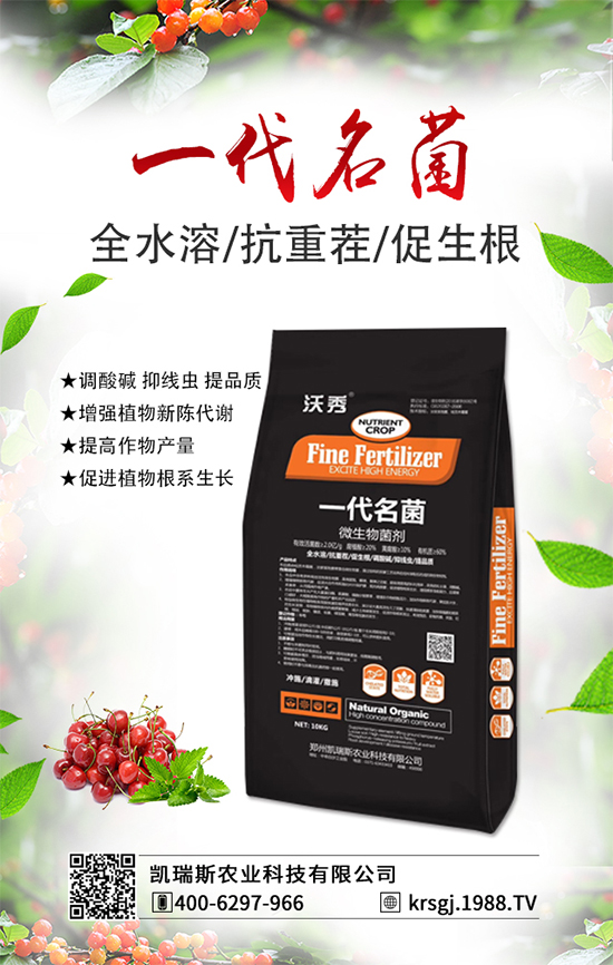 活菌爆根(12kg+500g)=20公斤桶肥+10公斤微生物菌肥+5公斤魚蛋白液體肥+預(yù)防死苗爛根,四效合一!