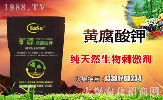 【薩斯商貿(mào)】全體員工祝全國人民在新的一年里鼠年好運(yùn),鼠錢沒完!