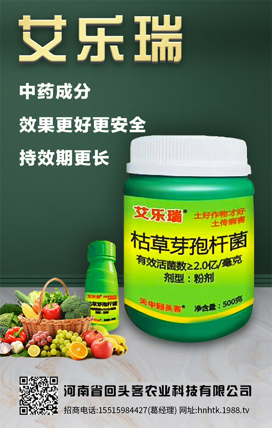【回頭客農(nóng)業(yè)】祝您及您的家人:鼠年好運擋不住,鼠年財源滾滾來!