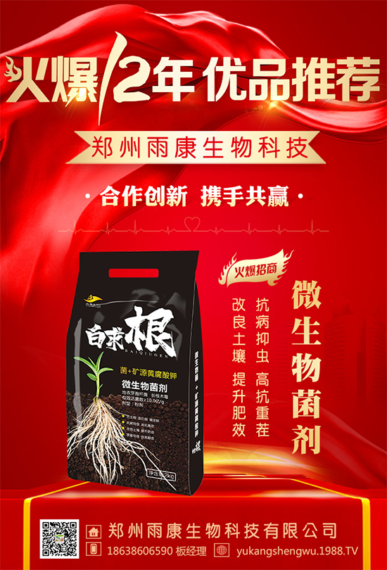 �������꿵�����ף�������옷���f�´����ϼҚg����