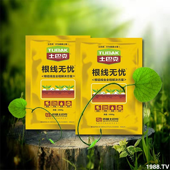 【僑基生物】祝全國朋友身體健康,萬事如意!