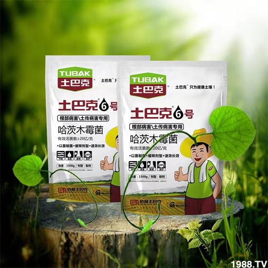 【僑基生物】祝全國朋友身體健康,萬事如意!