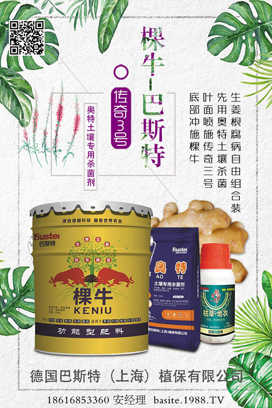 【德國巴斯特】祝愿您鼠年:朋友知心,愛人同心,永遠(yuǎn)開心,事事稱心!