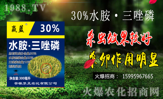 水稻鉆心蟲防治難點(diǎn)有哪些?水稻鉆心蟲危害及防治要點(diǎn)!