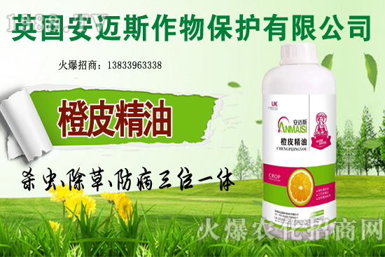 10月種植哪些蔬菜更合適？田間管理要重點(diǎn)抓好哪幾點(diǎn)？