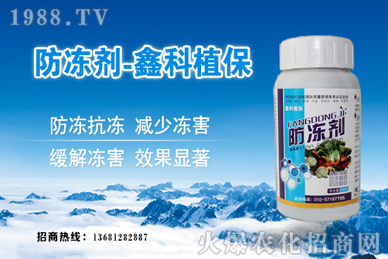 西葫蘆旺長什么原因？西葫蘆如何控旺？西葫蘆旺長補救措施！