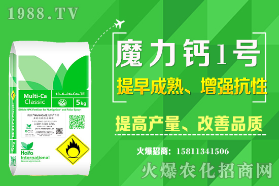 十月下旬適合種植什么中藥材？哪些中藥材賺錢收益高？