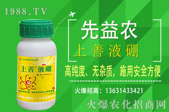 枇杷種植條件有哪些？枇杷種植要怎么施肥？