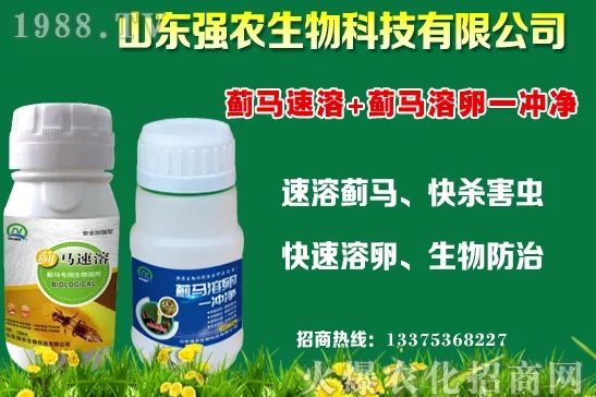 �ﶬ11�·Nֲʲô�߲˱��^���m���߲˷Nֲע�����(xi��ng)��