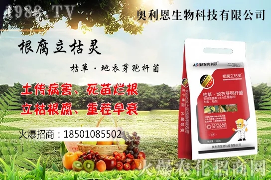 ���������Ĵ��`�^(q��)���Ď��c(di��n)�������߹�����ֲ�ĳɻ��ʣ�