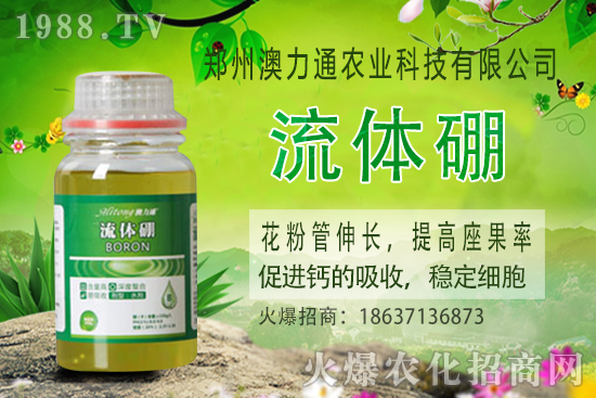 ⛷ʃr(ji��)����m(x��)���q��2020-10-30����(n��i)⛷ʃr(ji��)���(b��o)�r(ji��)һ�[