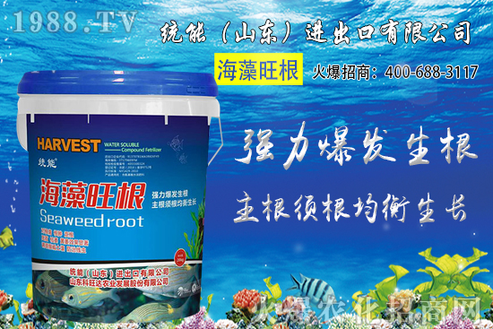 С���r(ji��)��󷶇��ϝq���A(y��)Ӌ(j��)С���r(ji��)��ͻ��1.25Ԫ/��