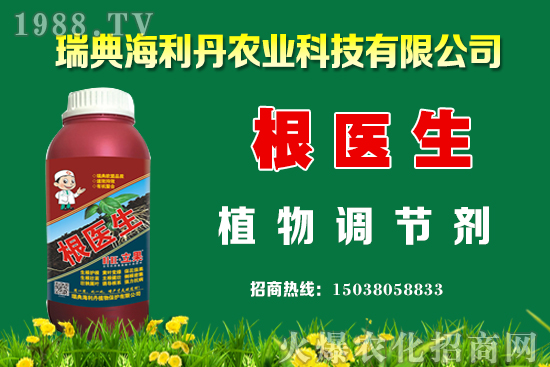 �Ͳ���ô��������߮a(ch��n)�����Ͳ˿���������ʩ����Щ��