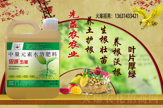 花生價(jià)格還能繼續(xù)上漲么？2020-11-10部分區(qū)域花生價(jià)格詳情