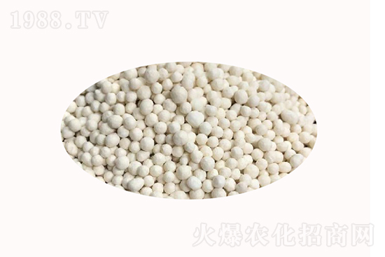 2020.11.14����(n��i)���@�r(ji��)���Ј��������(b��o)